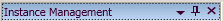 Use to position panes of the Instance Management Controls. 